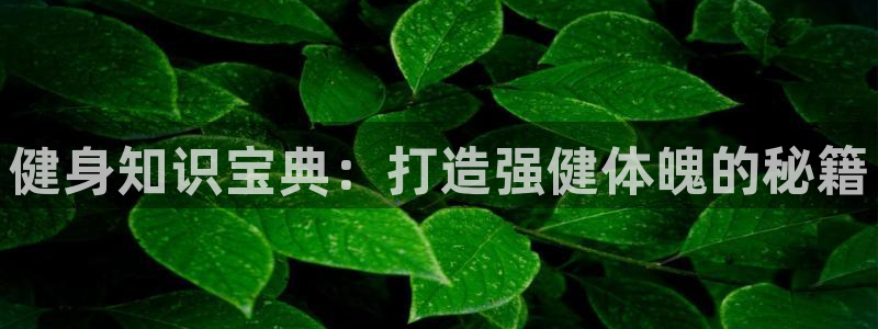 球友会·(QY)官方网站