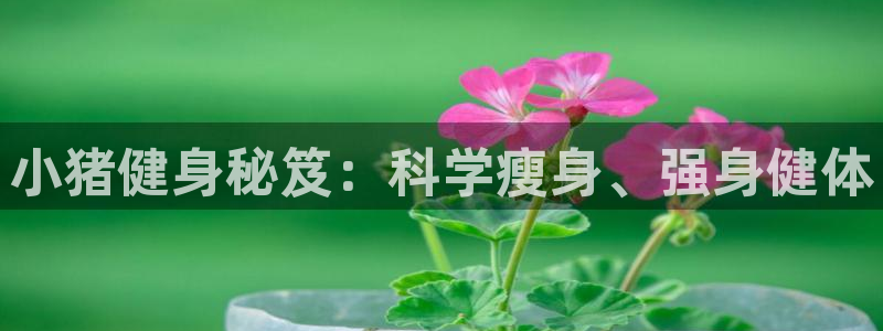 QY球友会体育官方平台